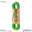 画像1: TOMMY CALDWELL ECO DRY DT 9,6MM (1)