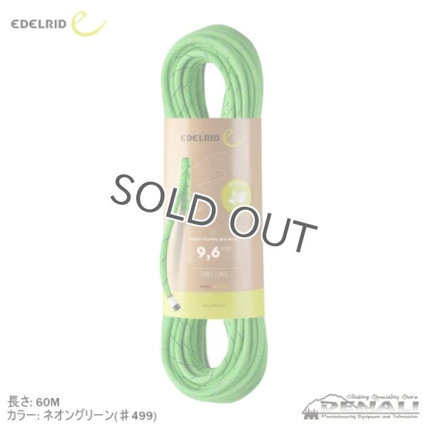 画像1: TOMMY CALDWELL ECO DRY DT 9,6MM (1)