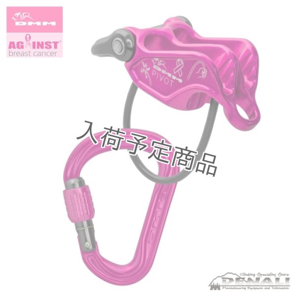 画像1: 【ご予約済お客様専用】Pivot / Phantom HMS Screw Set　THE POWER OF PINK Edition (1)