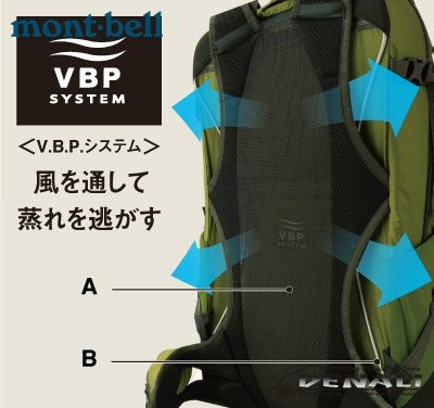 画像1: V.B.P.Back Panel